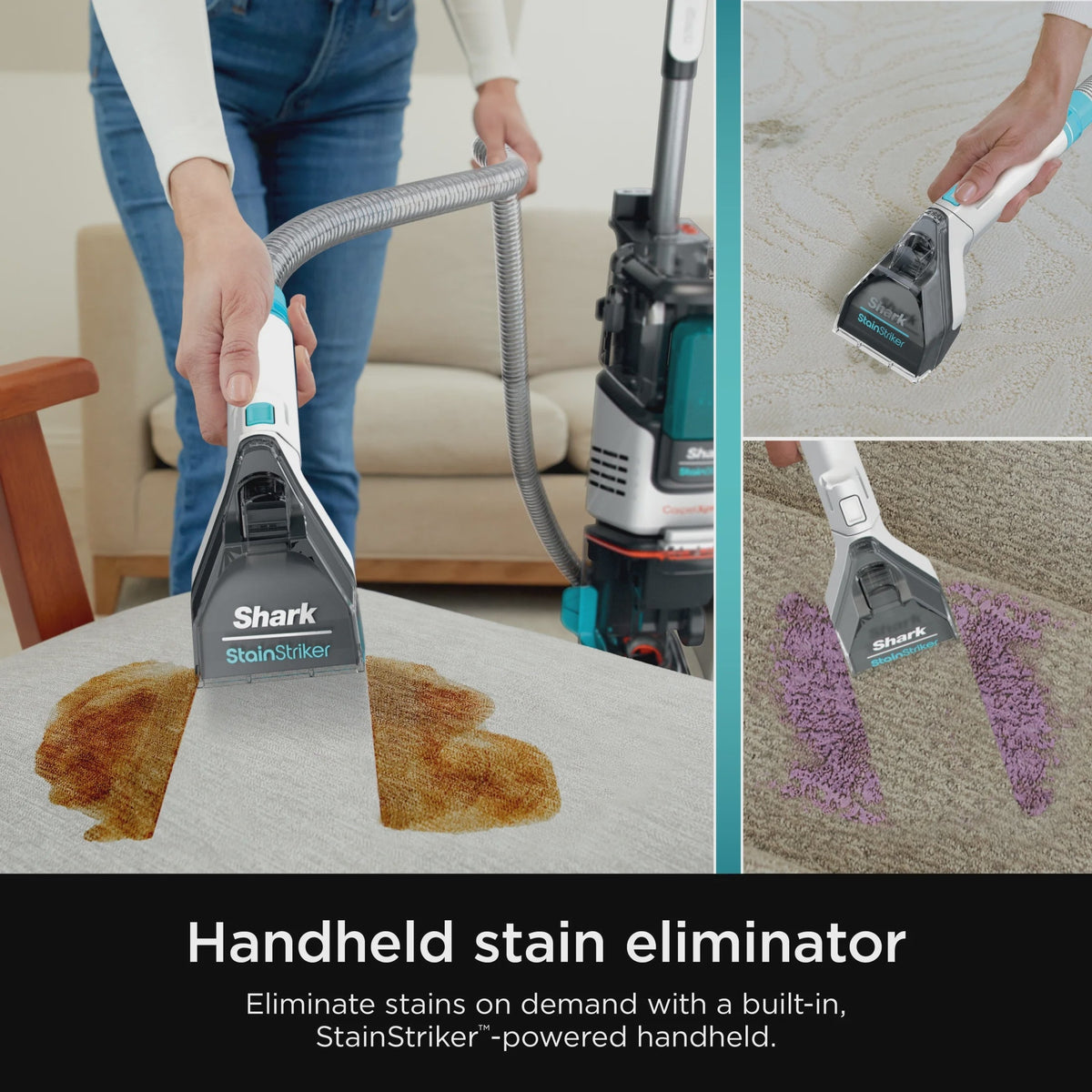 ? CarpetXpert? with Stainstriker? Carpet Cleaner