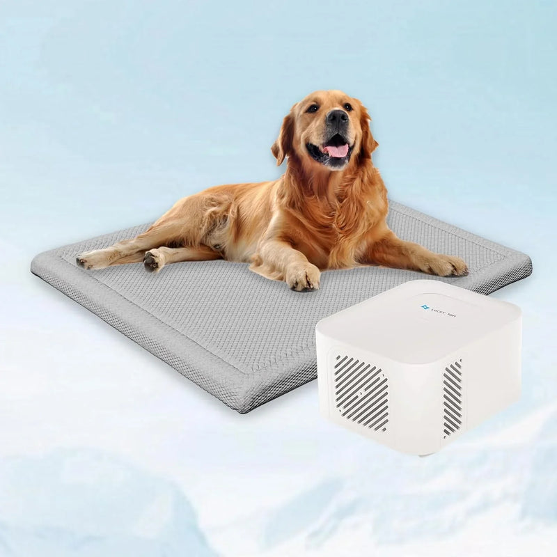 Pet Bed Cooling System, Consistent Warm and Cold Water Pad, No Electric Shock or Chemical Gel Needed, Machine Washable Bed, Ideal for Home and Crates (Cooling & Heating Green, 41" x 28") F3176