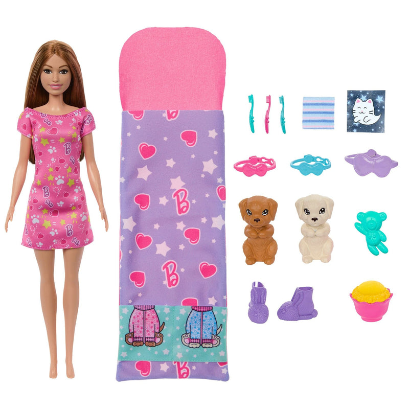 Skipper Doll & Puppy Slumber Party Playset, Kids Ages 3+ K5064