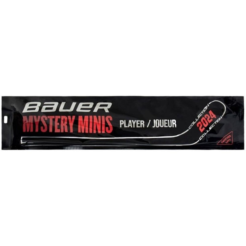 Mystery Mini Hockey Stick, Assorted Designs, 18-in M1386