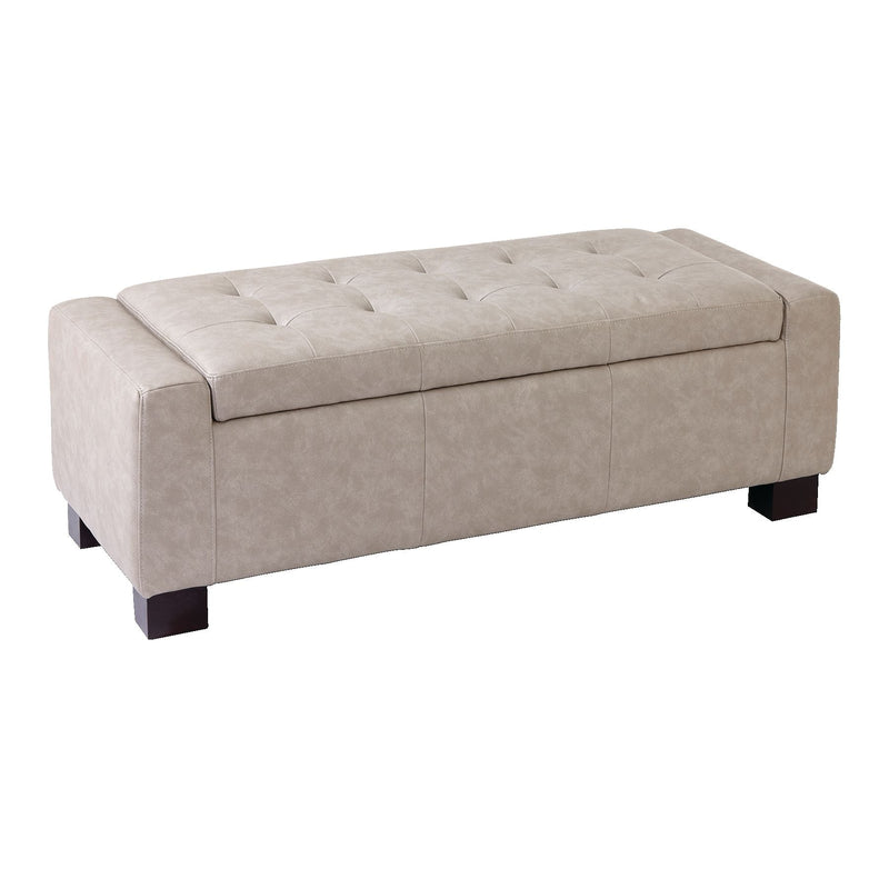 Louisa Upholstered Hinge-Top Storage Ottoman/Bench With Padded Seat, Light Grey P8379