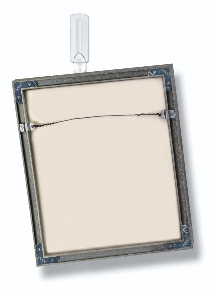 Wire Back Hanger Picture Hanging Hook, Damage Free Hanging, Reusable E5534