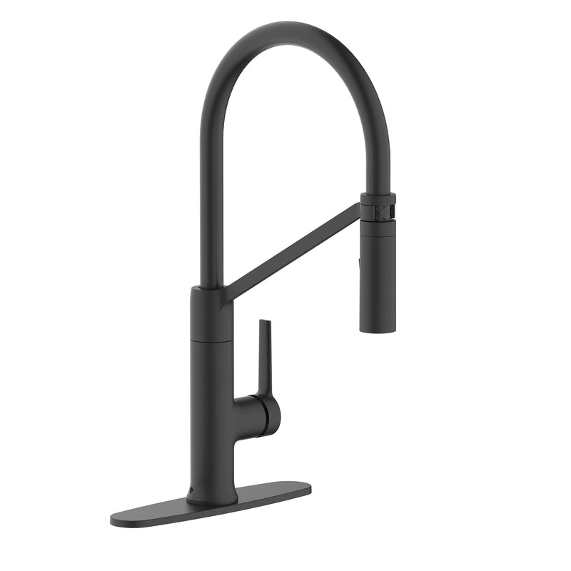 Tana 1-Handle Pull-Down Kitchen Faucet T8906