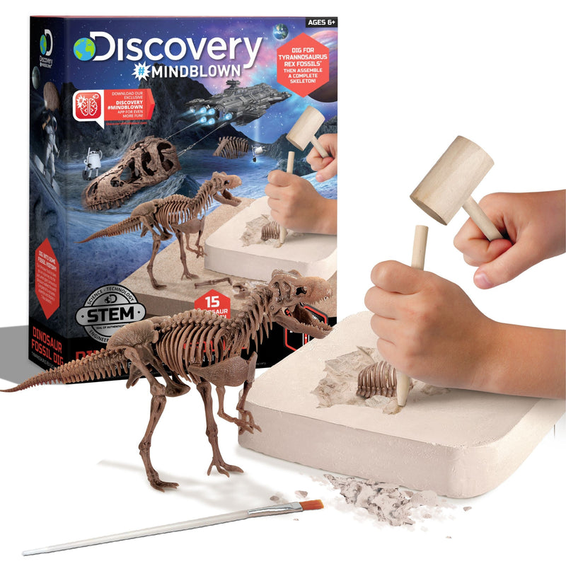 Dinosaur Skeleton T-Rex 3D Puzzle Excavation Kit/Educational Toy for Ages 6+ D6462