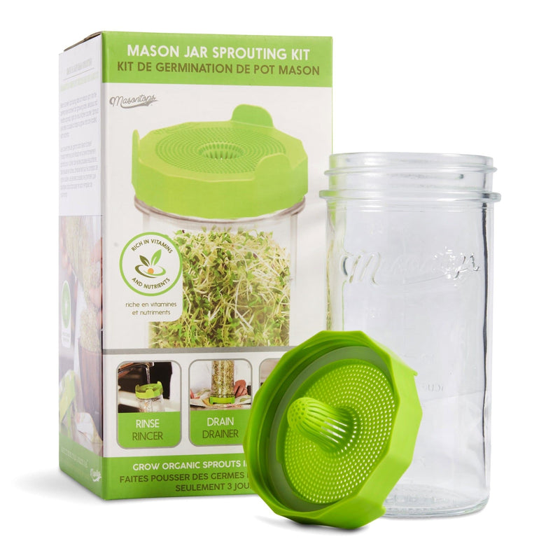 Single Mason Jar Sprouting Kit with Seeds, 3-pc R6052