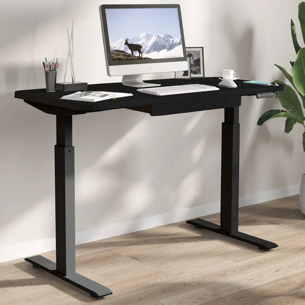 Motionwise 121.9 cm x 61 cm (48 in. x 24 in.) Height Adjustable Desk L3188