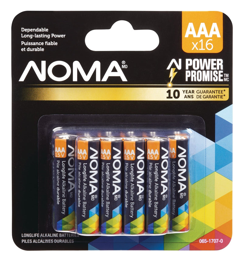 AAA Alkaline Batteries, Long Lasting, All Purpose, 16-pk E3955