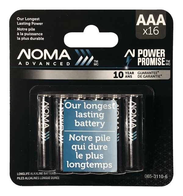 Advanced 16-pk AAA Alkaline Batteries, Long Lasting, All Purpose W7380