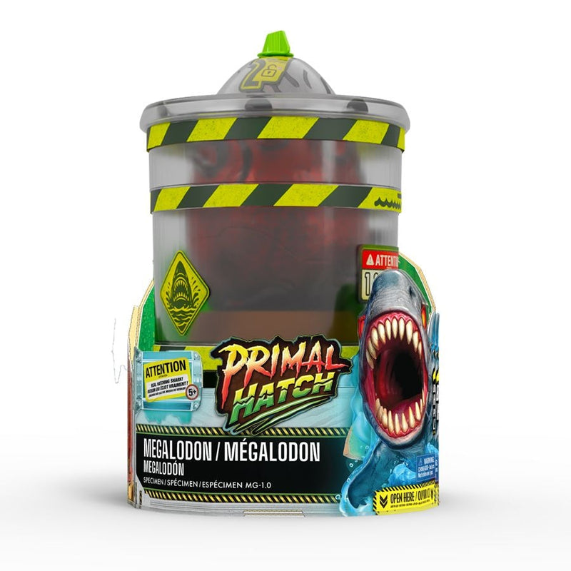 Megalodon Shark Y0342