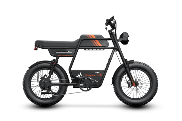 GT33 All-Terrain Cafe Racer Cargo Electric Bike P7696