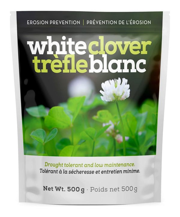White Clover Erosion Control Grass Seed 500g O7866
