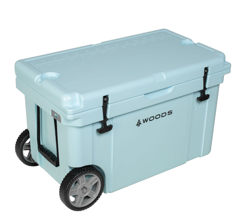 ARCTIC Wheeled Roto-Moulded Cooler with Handle, 65-L, Light Blue Y8450